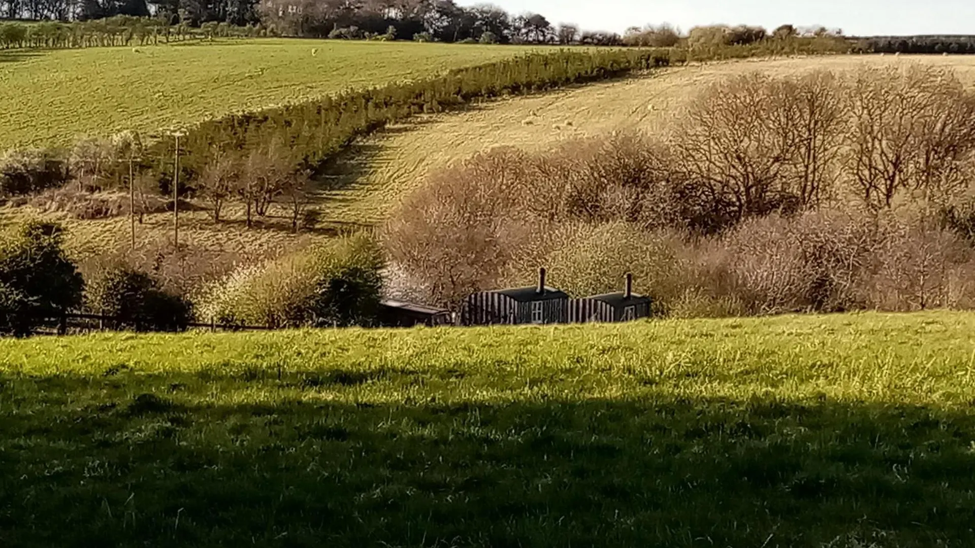 Meadowbeck - Shepherd Huts Fylingdales Birleşik Krallık