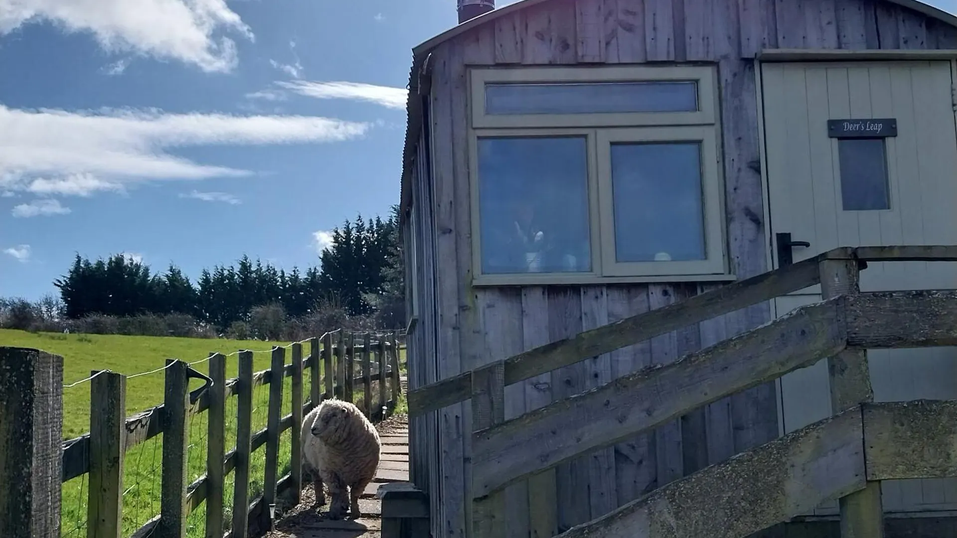 캠프장 Meadowbeck - Shepherd Huts Fylingdales